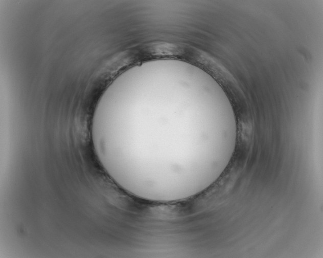 X0000115030422200911091347