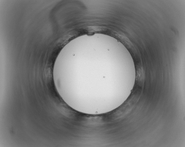 X0000115030426200911091347