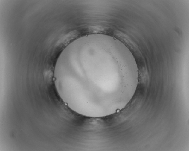 X0000115030427200911091347