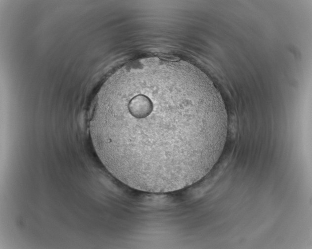 X0000115030428200911091347