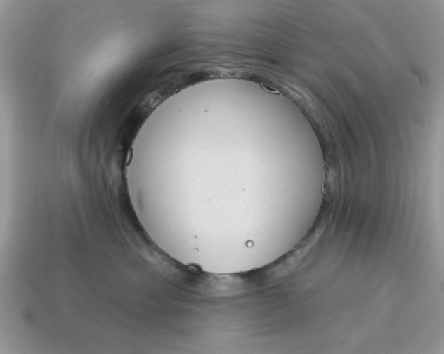 X0000115030429200911091347