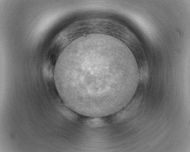 X0000115030431200911091347