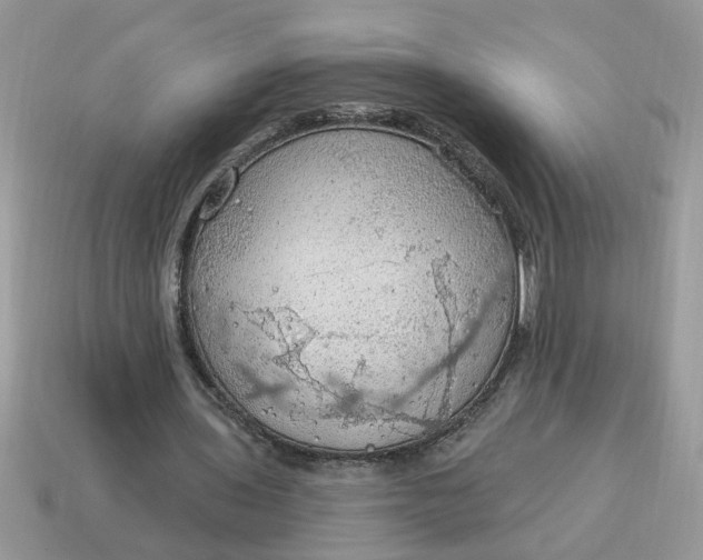 X0000115030435200911091346