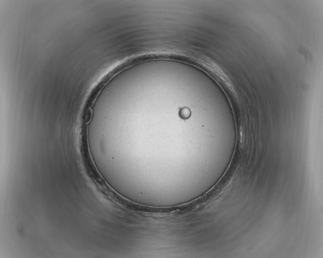 X0000115030436200911091346