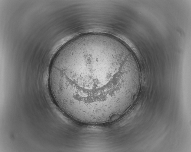 X0000115030437200911091346