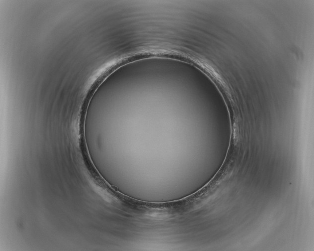 X0000115030438200911091346