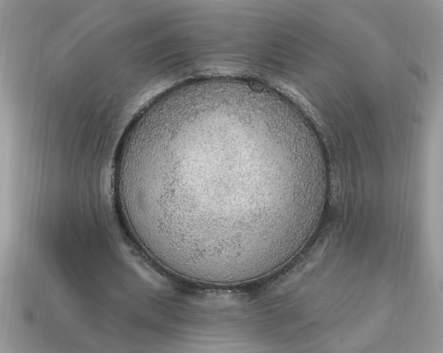X0000115030439200911091346