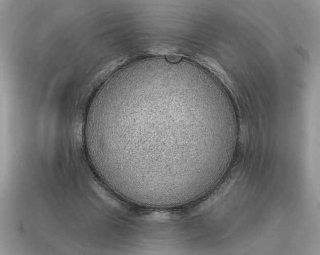 X0000115030441200911091346