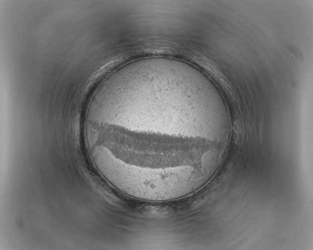 X0000115030442200911091346