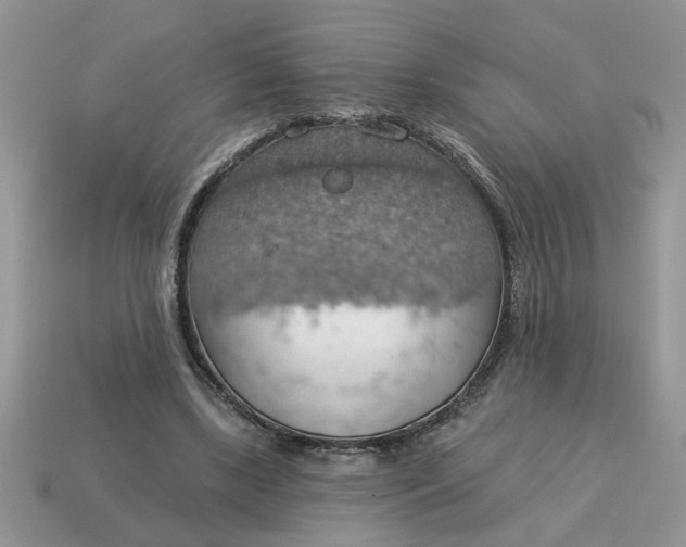 X0000115030443200911091346