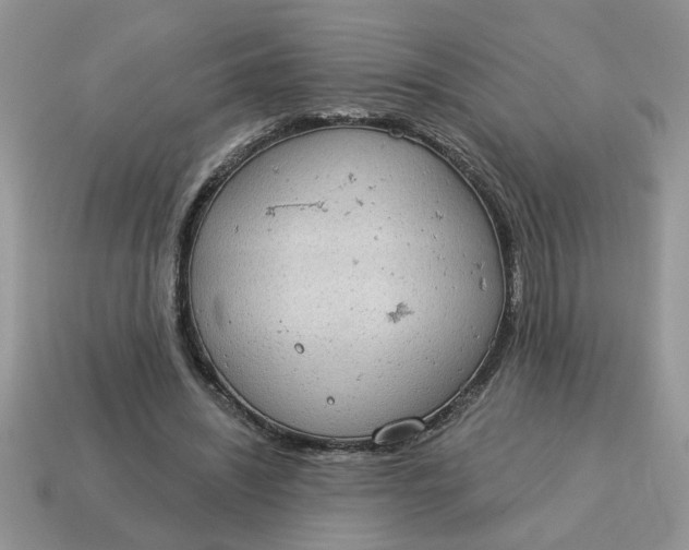 X0000115030444200911091346