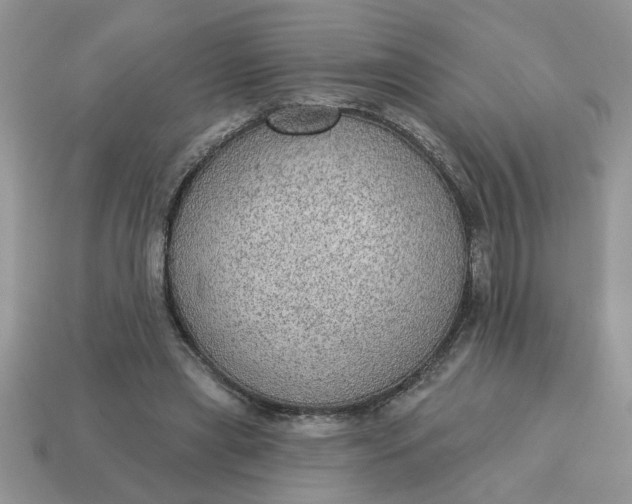 X0000115030445200911091346