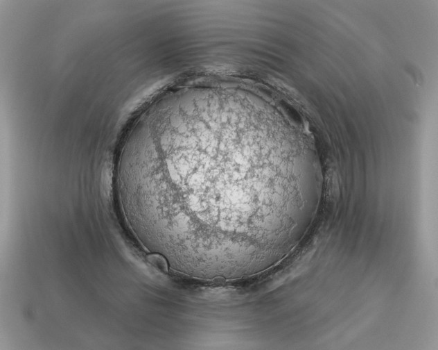 X0000115030446200911091346