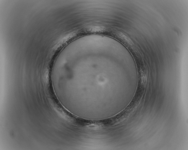 X0000115030447200911091346