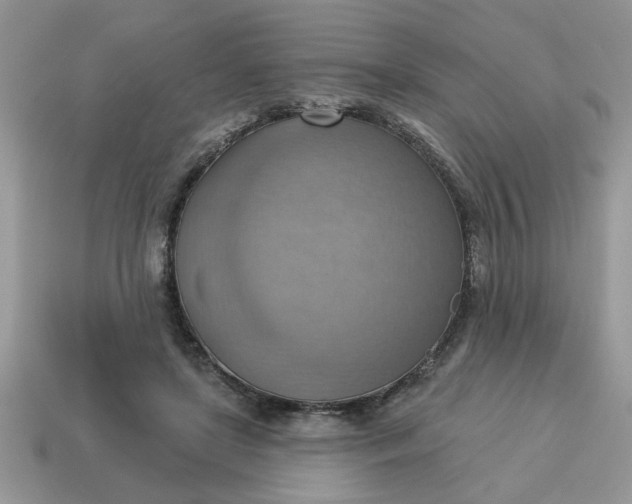 X0000115030451200911091346