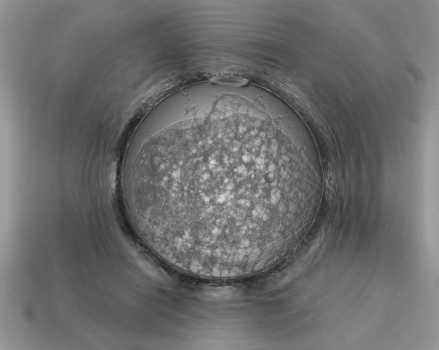 X0000115030454200911091346