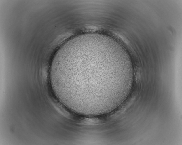X0000115030455200911091346