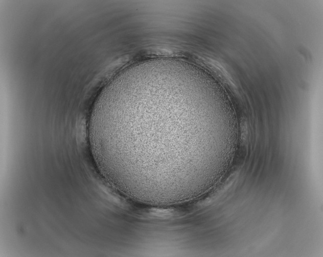 X0000115030457200911091346