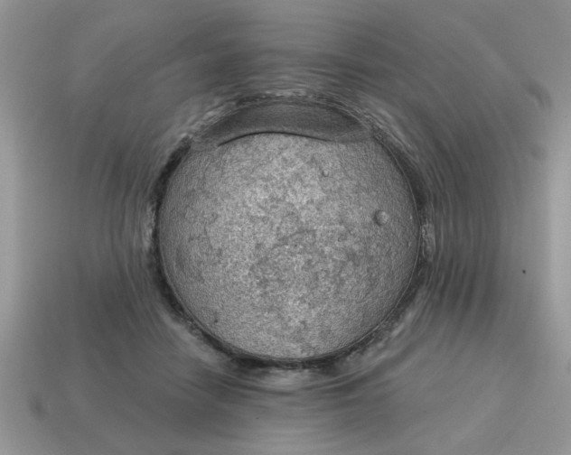 X0000115030458200911091346