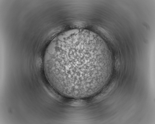 X0000115030459200911091346