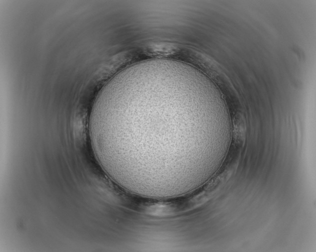 X0000115030460200911091346