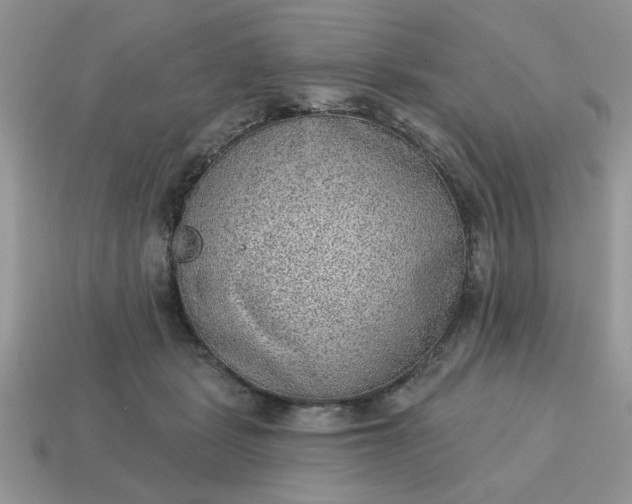 X0000115030461200911091346