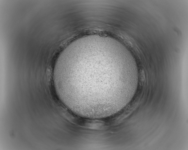 X0000115030463200911091346