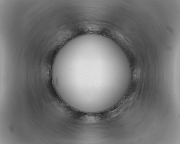 X0000115030464200911091346