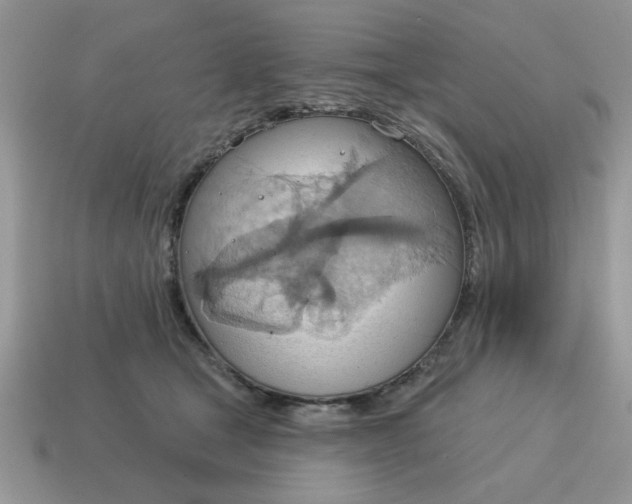 X0000115030465200911091346