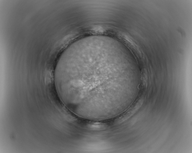 X0000115030467200911091346