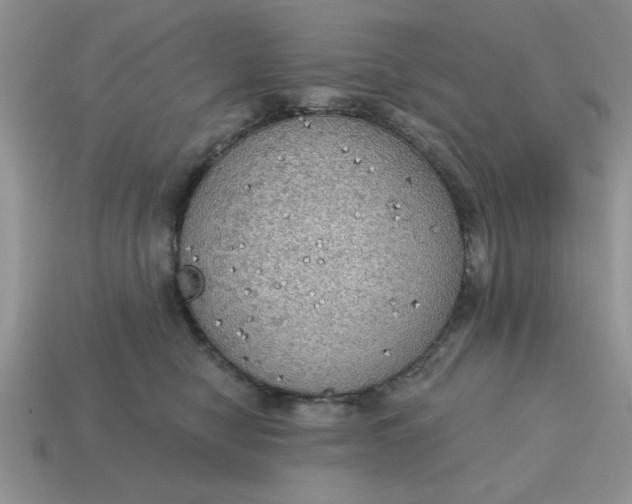 X0000115030470200911091346