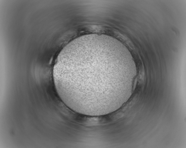 X0000115030473200911091346