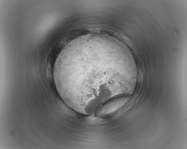 X0000115030477200911091347