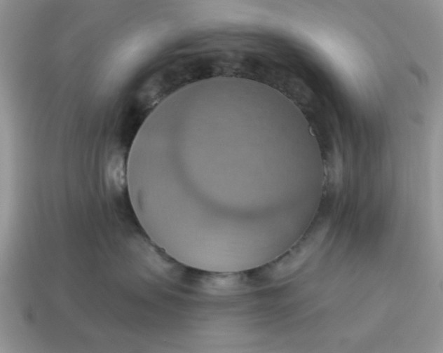 X0000115030479200911091347