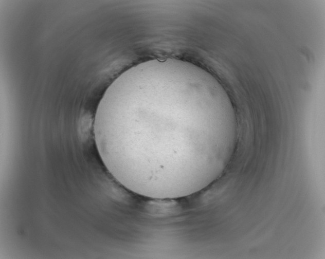 X0000115030480200911091347