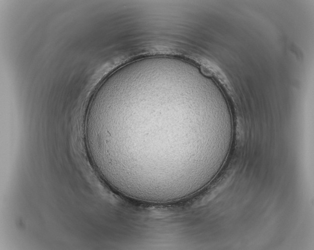X0000115030481200911091346