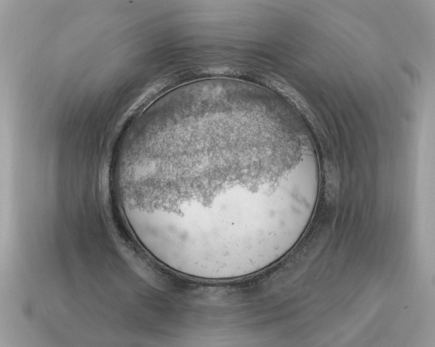 X0000115030482200911091346