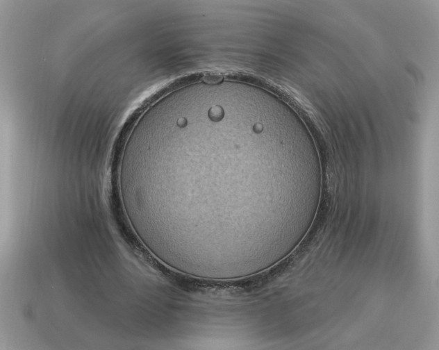 X0000115030488200911091346