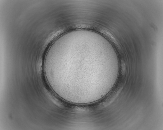 X0000115030490200911091346