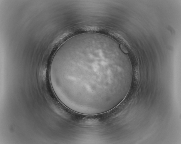 X0000115030491200911091346