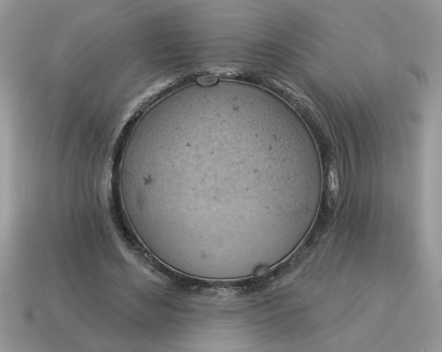 X0000115030492200911091346