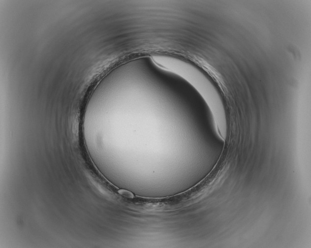 X0000115030493200911091346