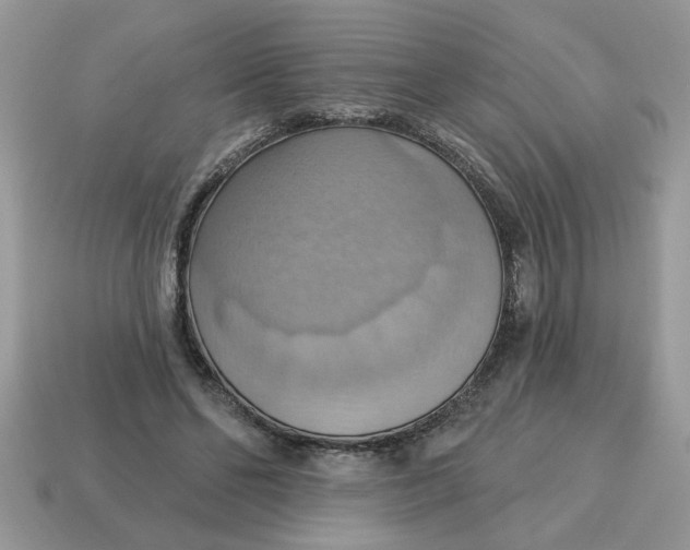 X0000115030494200911091346