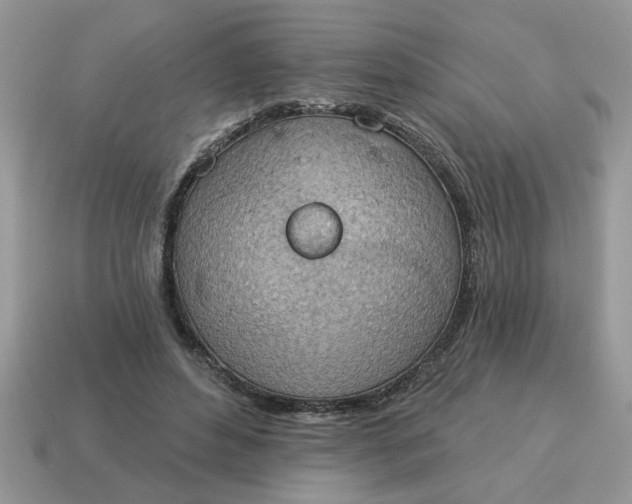 X0000115030496200911091346