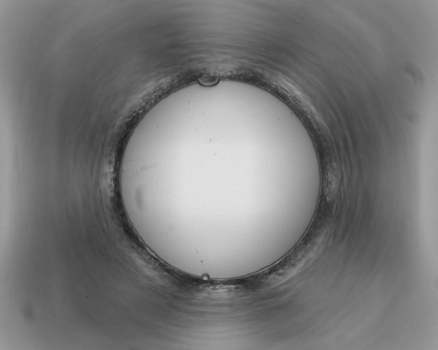 X0000115030497200911091346