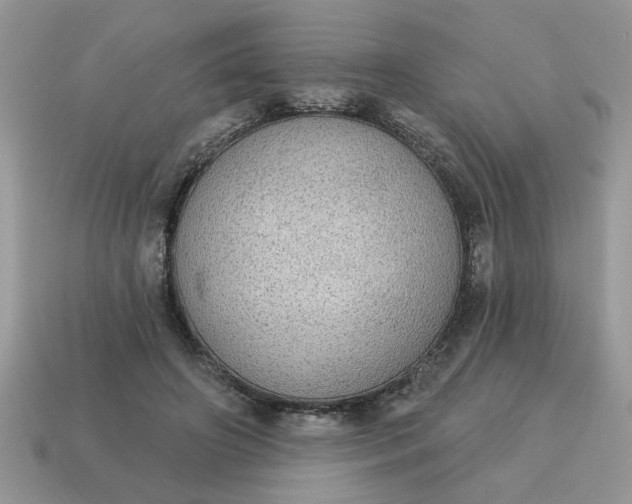 X0000115030498200911091346