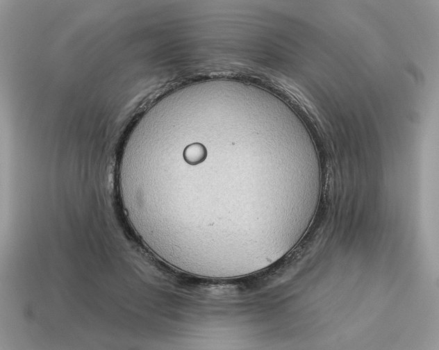 X0000115030501200911091346