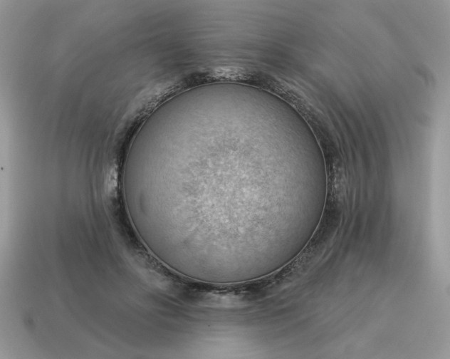 X0000115030502200911091346