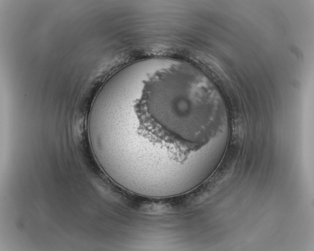 X0000115030503200911091346