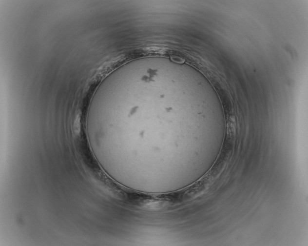 X0000115030504200911091346